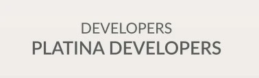 Platina Developers Logo