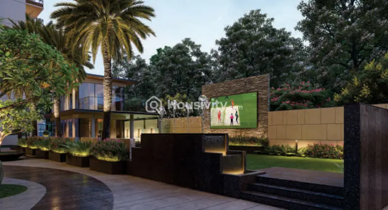 Elenza Arista Image 3