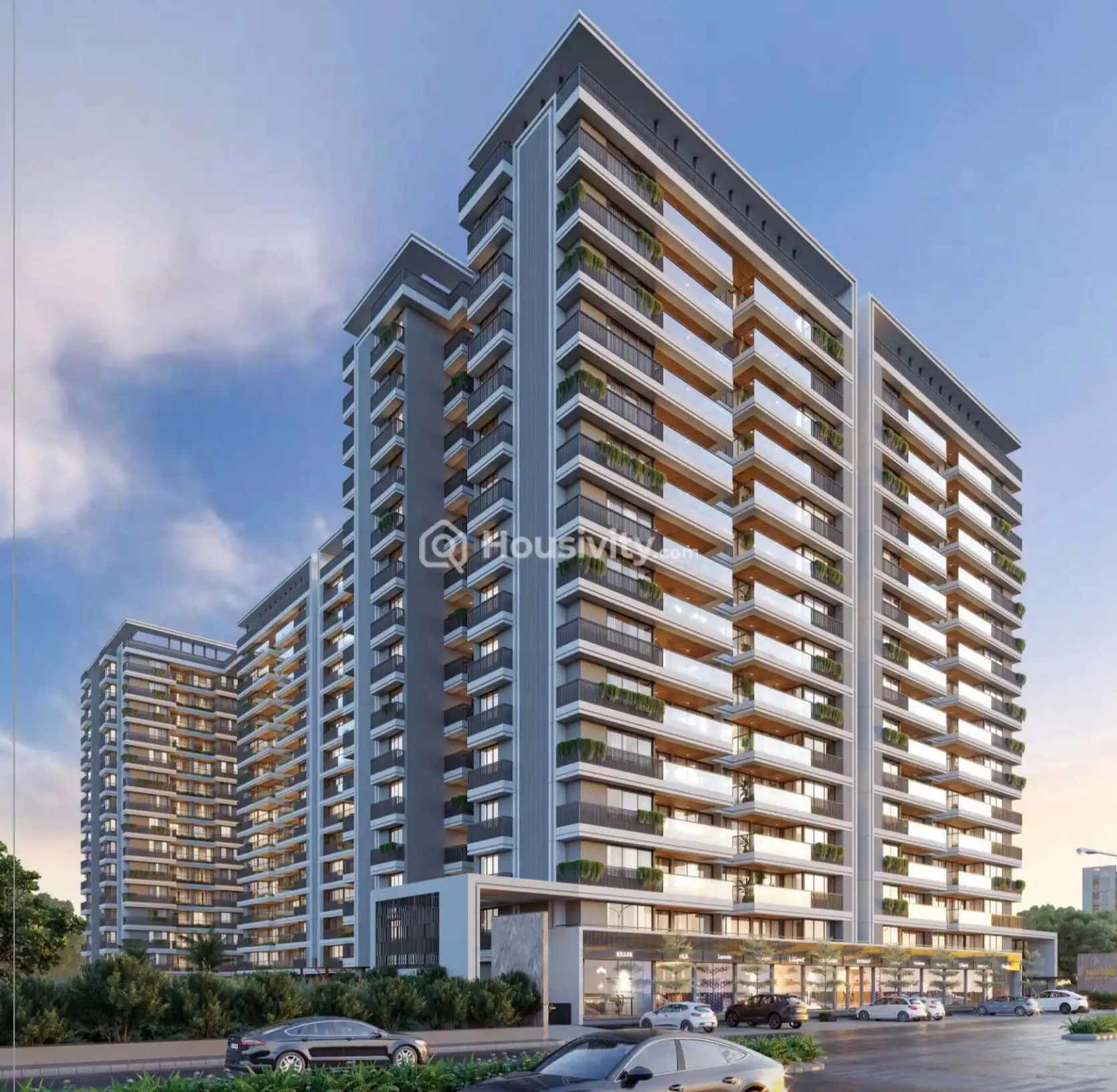 Rishv Octavia Image 3