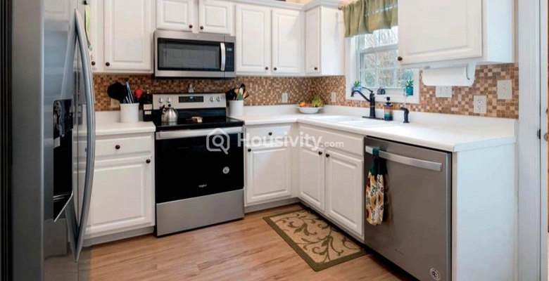 Atlantic Iris Image 3