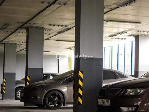 MP Dollars County Image 4