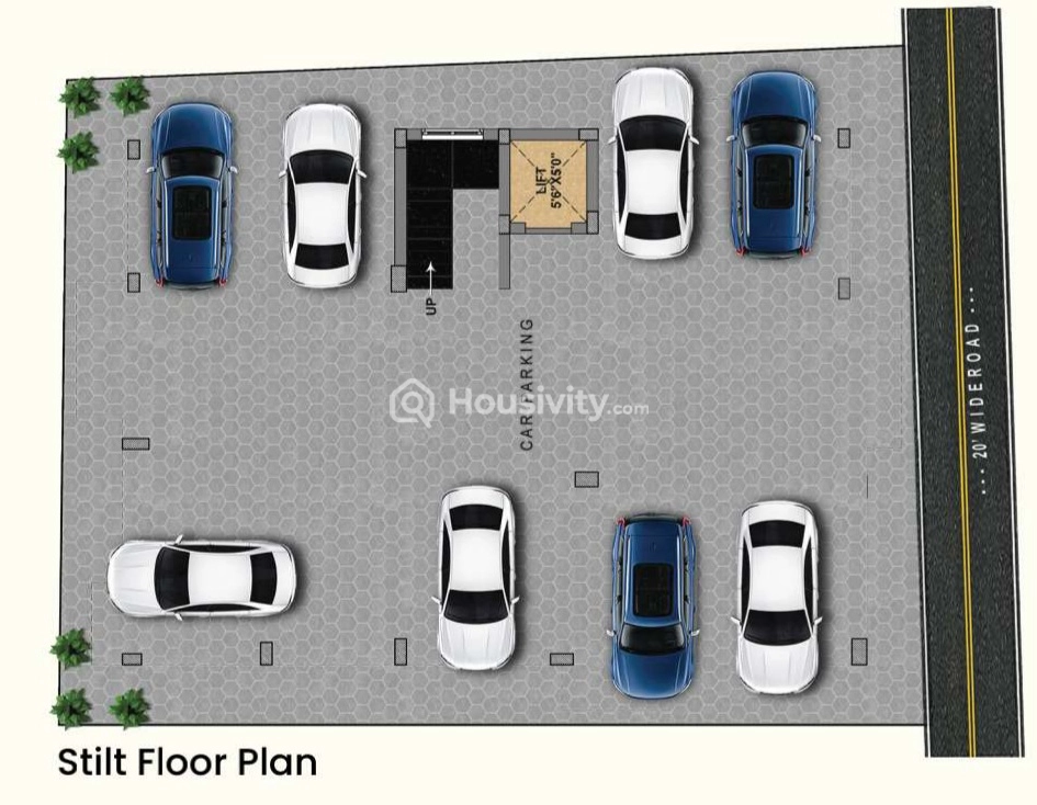 MP Colossus & Celestial Image 4