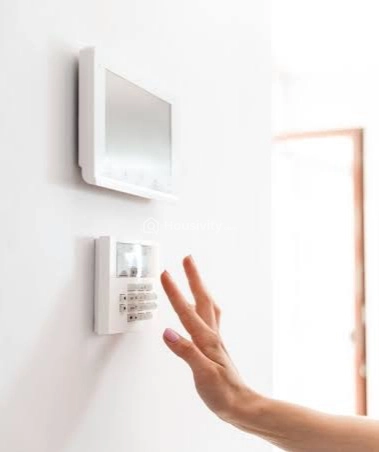 Bharathi Orchid Image 3