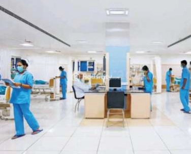 Salma The Mandarin Image 2