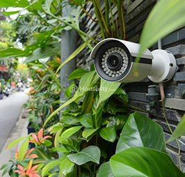 Akshaya Mbessy 62 Image 4