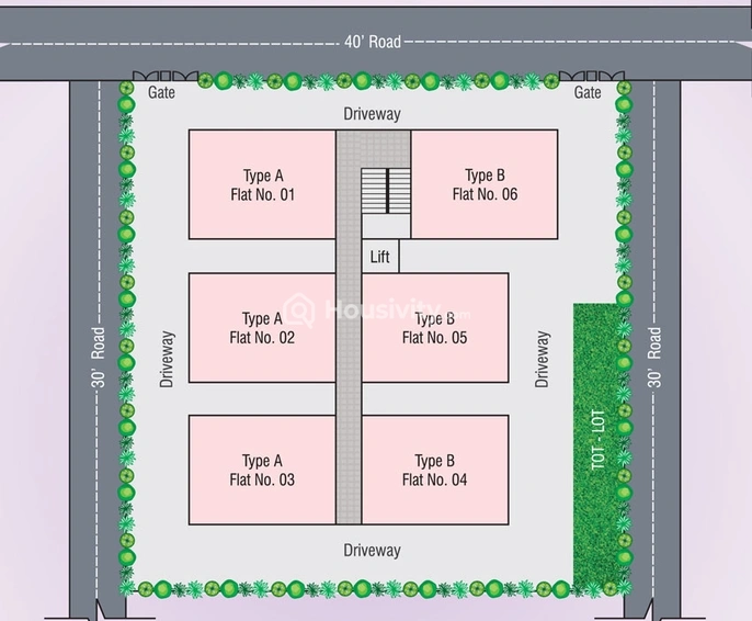 Modi Morning Glory Image 4