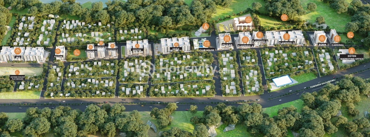 Doyen Ascent IBIS Image 3