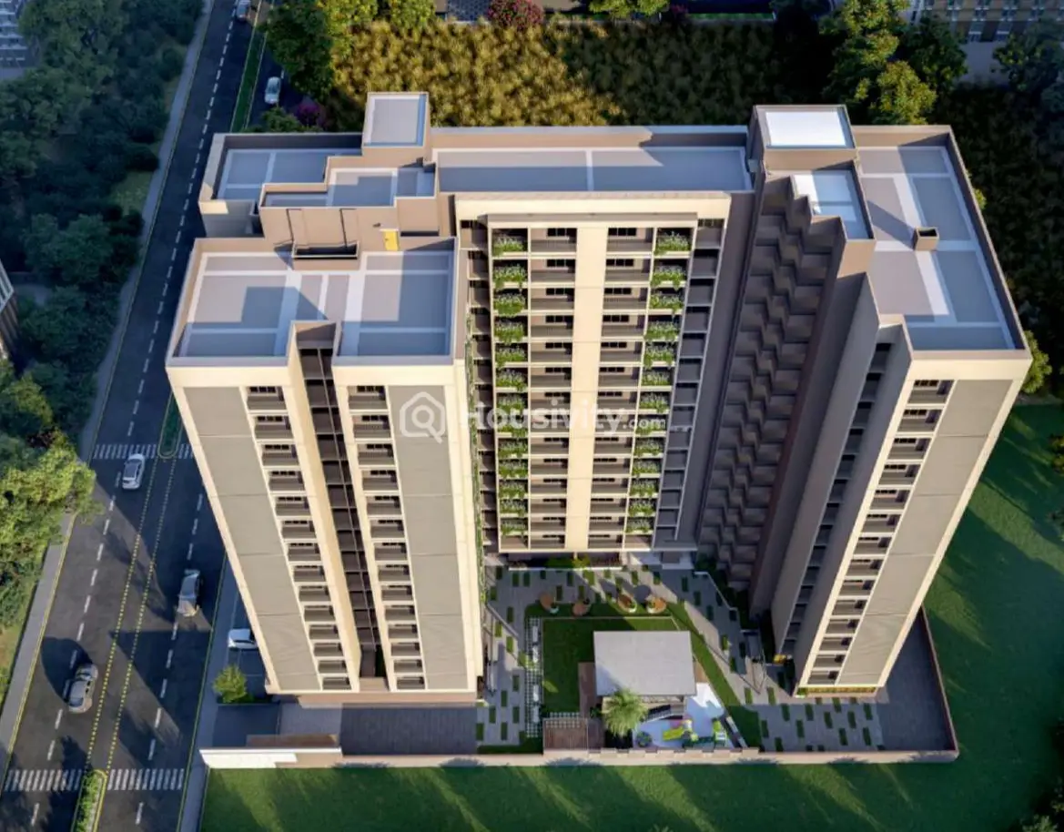 Green Abalone Image 4