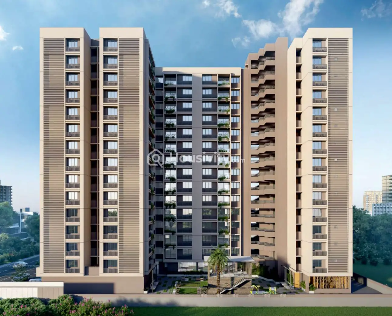 Green Abalone Image 1