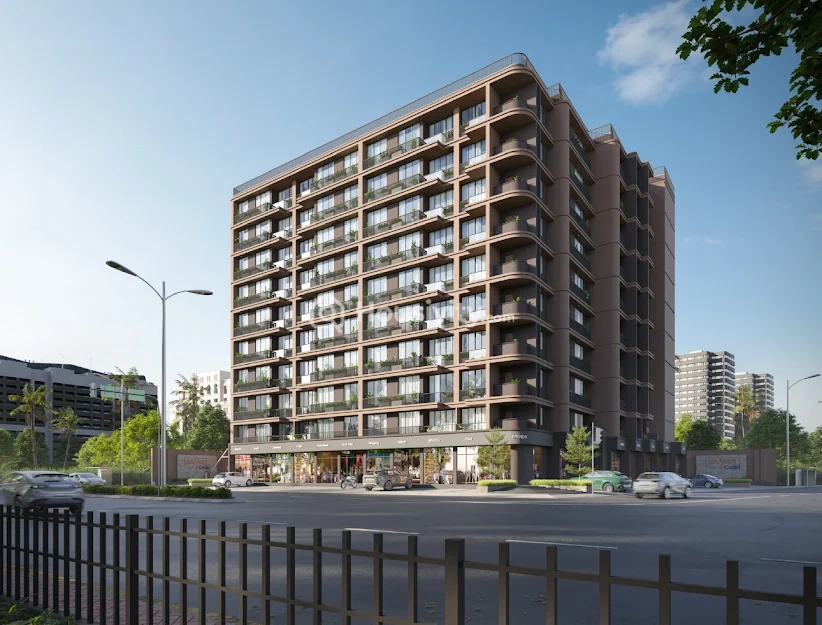 Silver Colin Image 4