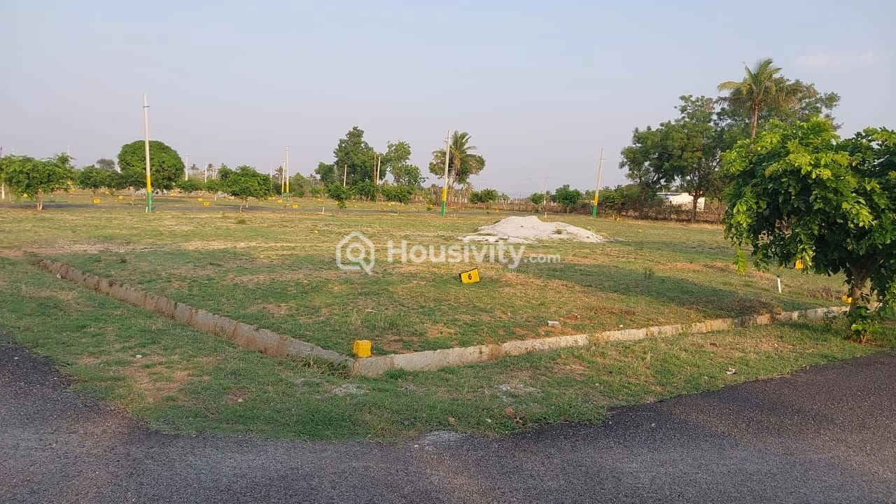1200 Sqft Plot For Sale Image 4