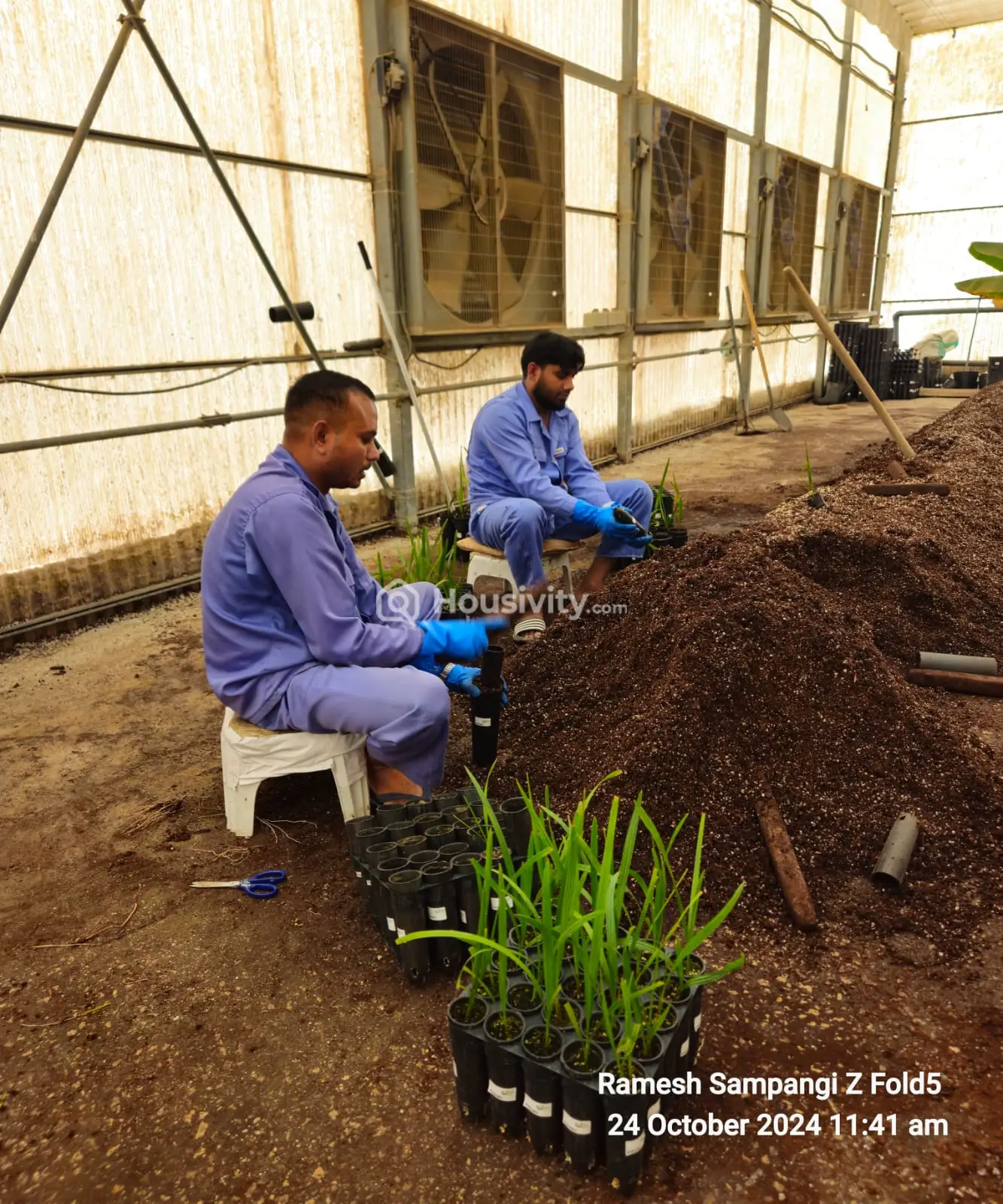 605 Sqyd Land For Sale Image 2