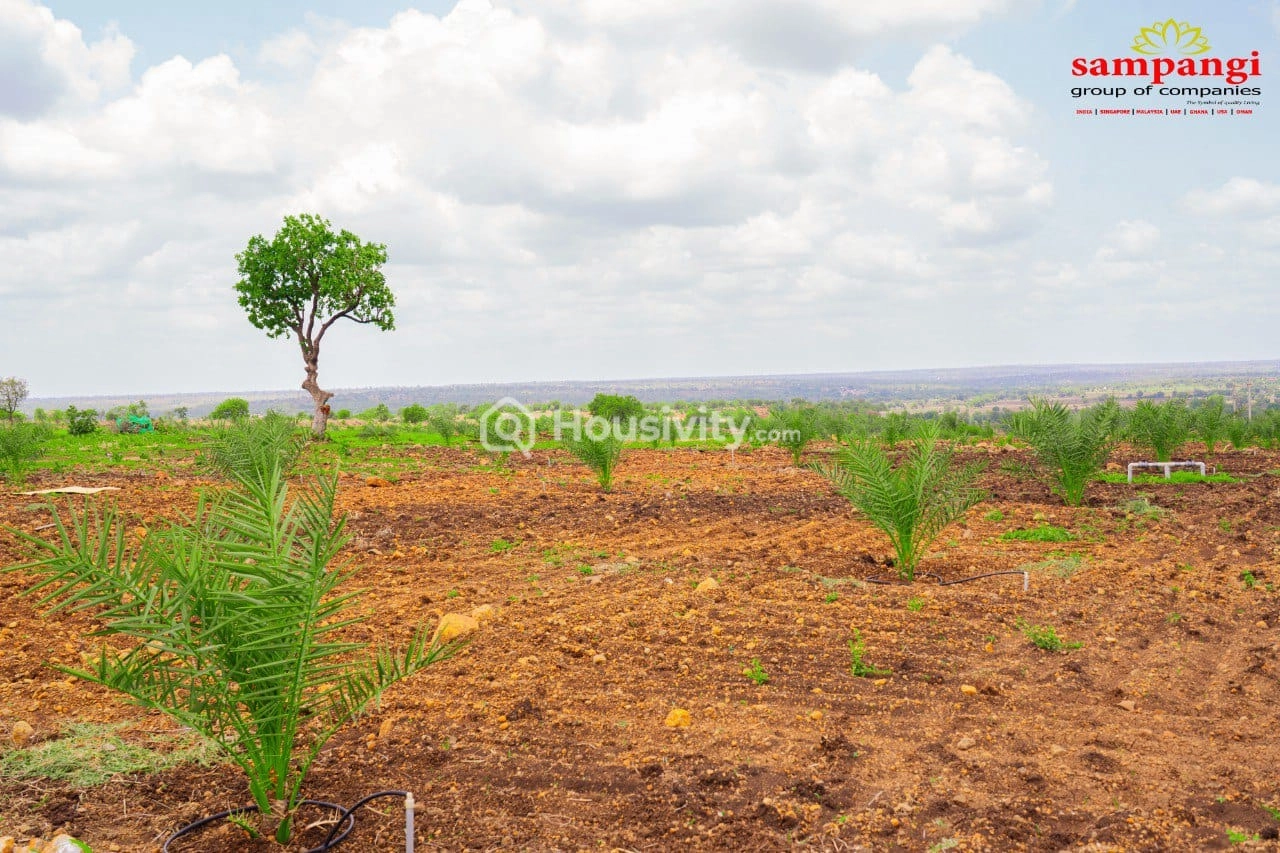 605 Sqyd Land For Sale Image 3
