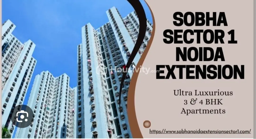 Investor arena Contact Person Logo